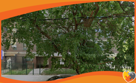 
<span>Bronx, NY</span>
